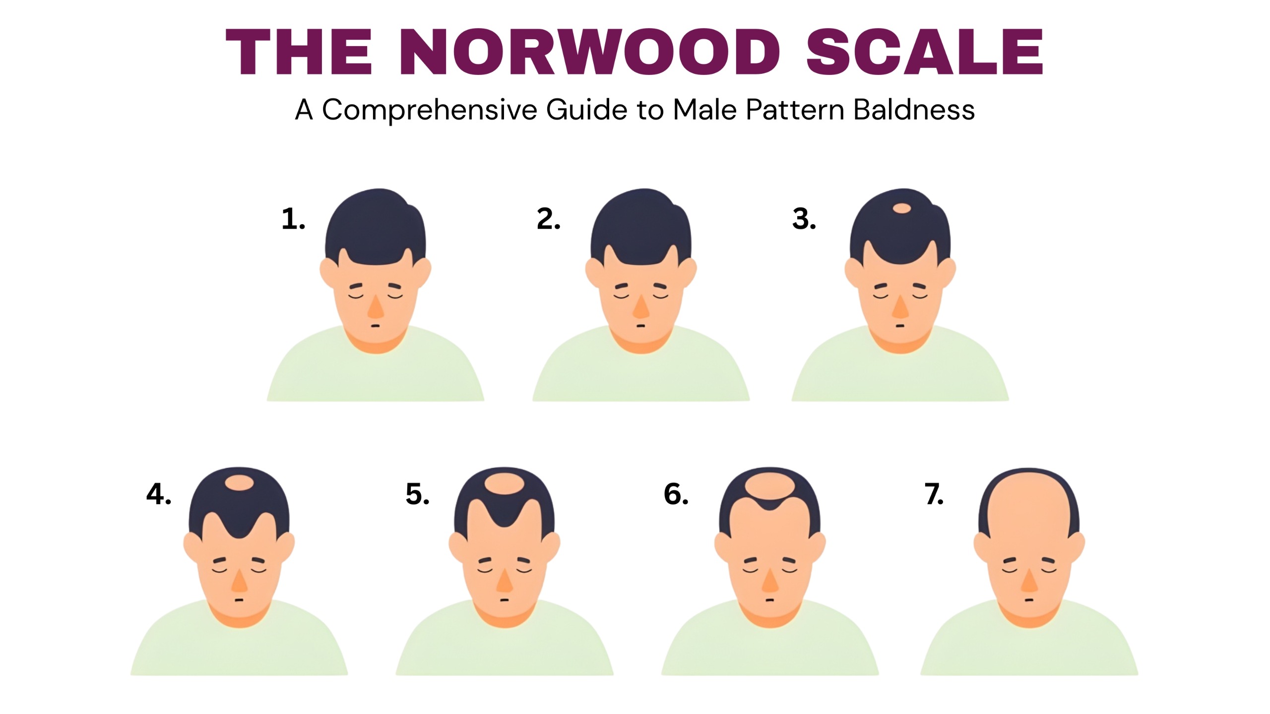 Hair Loss Stages Chart